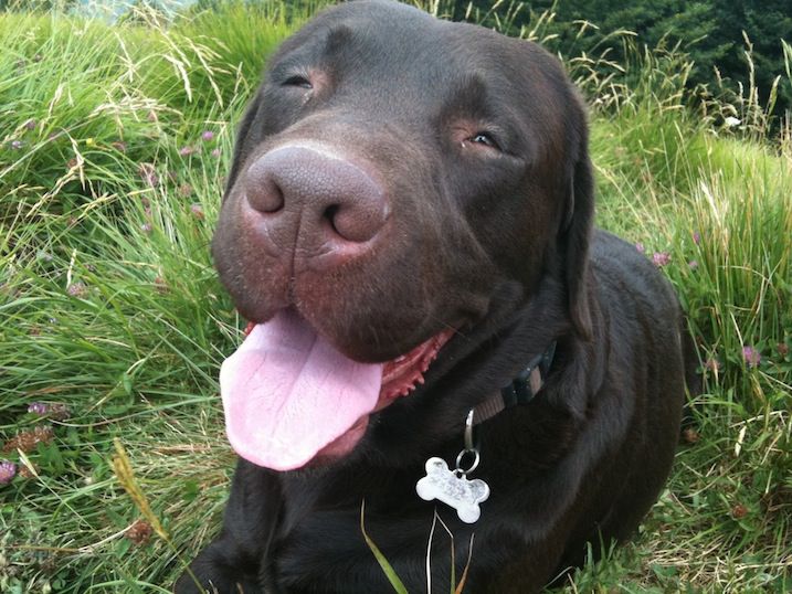 Il sito web è nuovo, ma noi siamo quelli di sempre!